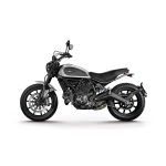 SCRAMBLER 800  17-20