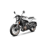 VITPILEN 401 ab 2020