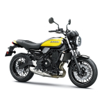 Z650 RS ER650R ab 2024