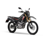 CRF300L