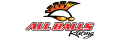 All Balls Racing