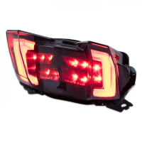 CTC LED Rücklicht getönt YAMAHA MT-09 RN43  17-20