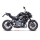 LEO VINCE LV-10 BLACK EDITION Auspuff KAWASAKI Z900 17-19