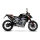 LEO VINCE LV ONE EVO CARBON Auspuff KTM DUKE 790  18-20