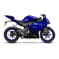 LEO VINCE LV ONE EVO CARBON Auspuff / Komplettanlage YAMAHA YZF R-125 RE29  17-18