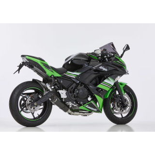 SHARK STREET GP Auspuff / Komplettanlage KAWASAKI NINJA 650 ab 2020  EURO 4