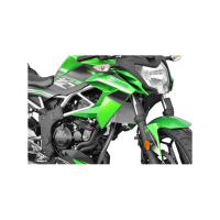 TOP BLOCK Sturzpads KAWASAKI Z125  19-20