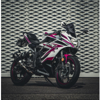 Windscheibe Cockpitscheibe KAWASAKI NINJA 125  19-20