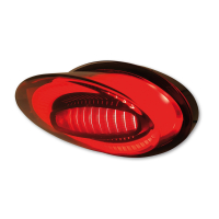CTC LED Rücklicht getönt KAWASAKI Z900 RS  21-25