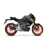 LEO VINCE LV ONE EVO BLACK EDITION Auspuff / Komplettanlage YAMAHA MT-125 RE40  21-24