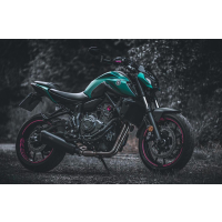 SHARK DSX-10 Auspuff / Komplettanlage YAMAHA MT-07 RM33 /...
