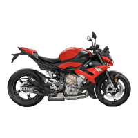 LEO VINCE LV-10 FULL BLACK EDITION Auspuff BMW S1000R  21-24