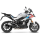 LEO VINCE LV-10 Auspuff BMW S1000 XR  20-23