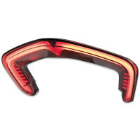 CTC LED Rücklicht getönt DUCATI STREETFIGHTER V4 / V4 SP ab 2020