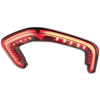 CTC LED Rücklicht getönt DUCATI STREETFIGHTER V2 / V2 SP ab 2020