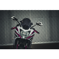 Verkleidungsspiegel MOVE für KAWASAKI NINJA 125 ab 2021 mit Befestigungsadapter und farblichen Blenden  grün