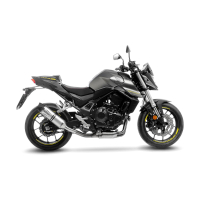 LEO VINCE LV ONE EVO Auspuff HONDA CB750 HORNET RH12  23-24