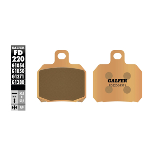 GALFER Sinter Bremsbeläge hinten FD220-G1371 für DUCATI STREETFIGHTER 848 / S ab 2012