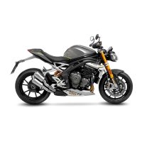 LEO VINCE LV-10 Auspuff TRIUMPH SPEED TRIPLE 1200 RR / RS...