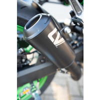 LEO VINCE LV-10 FULL BLACK EDITION Auspuff KAWASAKI Z900  21-24 mit Carbon Abdeckung