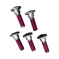 TRW / LUCAS Bremsscheiben Schraubensatz MSS122-5 für...