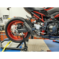 SHARK RCT Auspuff KAWASAKI Z900 70 KW  ab 2020 / EURO 4