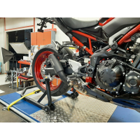 SHARK RCT Auspuff KAWASAKI Z900 70 KW  ab 2020 / EURO 4