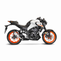 LEO VINCE LV PRO Auspuff  YAMAHA MT-03 RH12  20-21