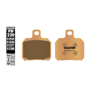 GALFER Sinter Bremsbeläge hinten FD220-G1371 für KTM SUPER DUKE 1390 / R / EVO ab 2024