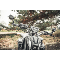 Lenkerendenspiegel ARAGON für YAMAHA MT-125 RE47 ab 2025  mit passenden Lenkerenden und diversen Farben