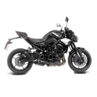 LEO VINCE LV-10 FULL BLACK EDITION Auspuff KAWASAKI Z900...