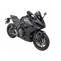 Windscheibe / Cockpitscheibe RACING SUZUKI GSX-8R ab 2024