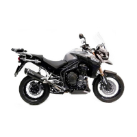 LEO VINCE LV ONE EVO BLACK EDITION Auspuff  TRIUMPH TIGER...
