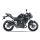 LEO VINCE LV-14 BLACK EDITION Auspuff KAWASAKI Z500 / SE ab 2024