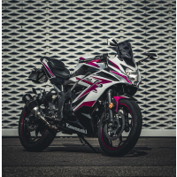 Windscheibe Cockpitscheibe KAWASAKI NINJA 125 ab 2025