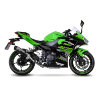 LEO VINCE LV ONE EVO CARBON Auspuff  KAWASAKI NINJA 400...