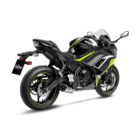 LEO VINCE LV ONE EVO Auspuff / Komplettanlage KAWASAKI...