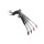 PROTECH V-SHAPE Kennzeichenhalter KAWASAKI Z900 RS ab 2026