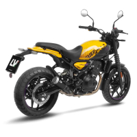 LEO VINCE LV-10 BLACK EDITION Auspuff ROYAL ENFIELD...